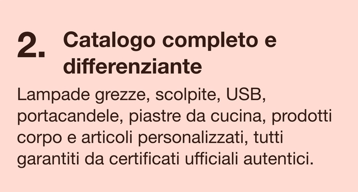 Diventa agente 2