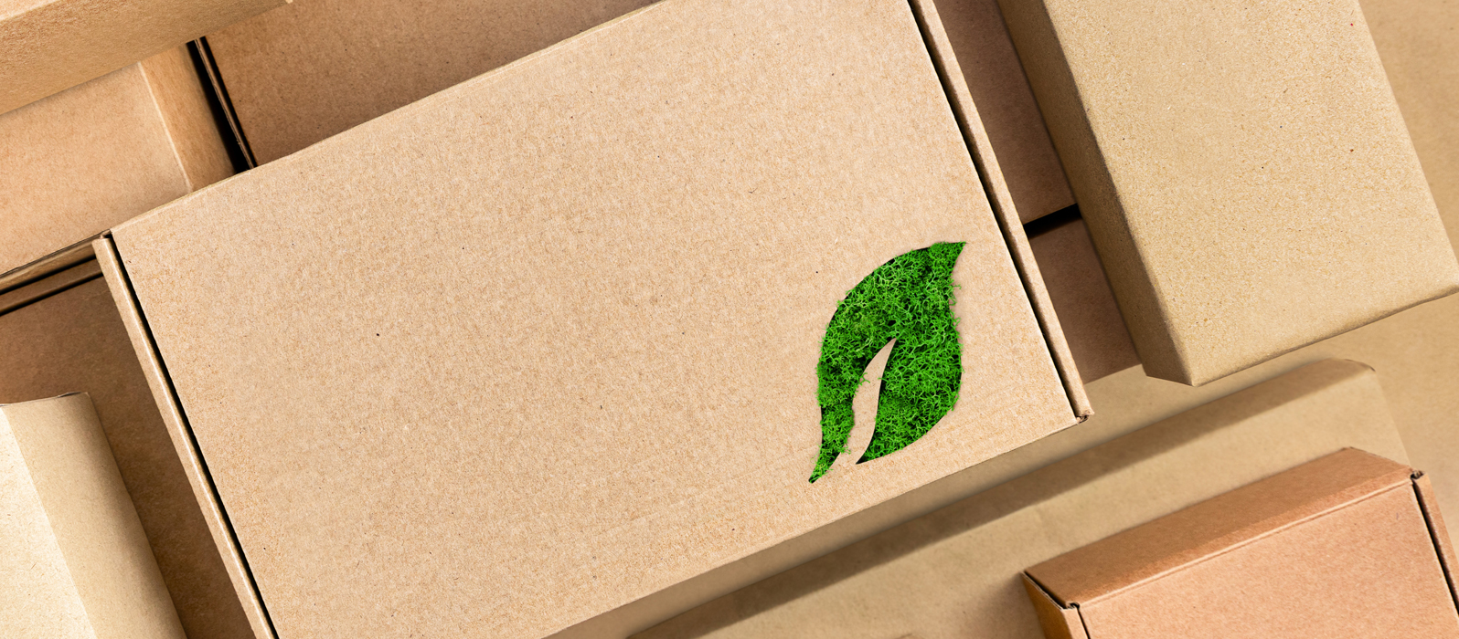 Header per l'ambiente