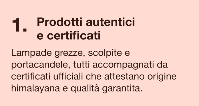 Influencer 1
