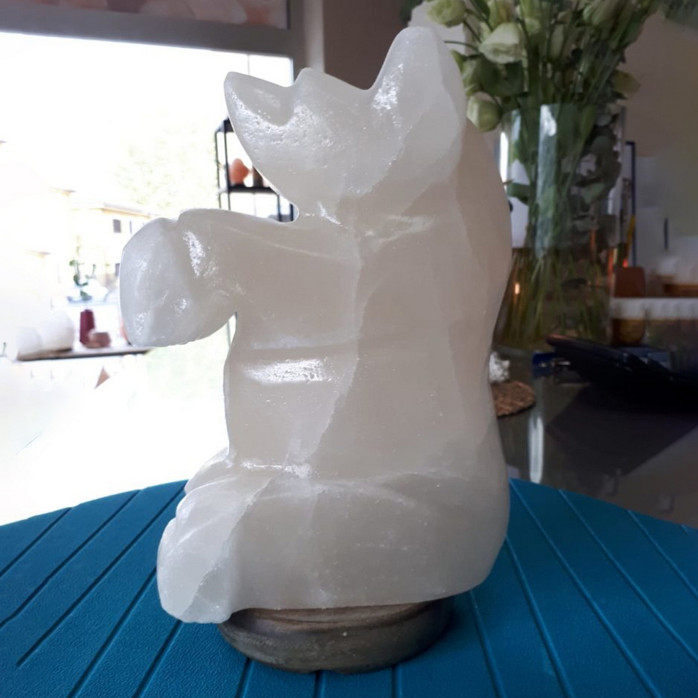 Foto principale Lampada di Sale Himalayano Bianca scolpita a forma di Orsetto 3-4 kg con luce calda e base in legno