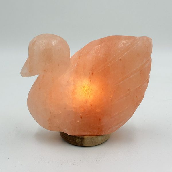 Lampada di Sale Himalayano Rosa scolpita a forma di Cigno 3 kg con luce calda e base in legno - Foto 1