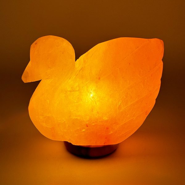 Foto principale Lampada di Sale Himalayano Rosa scolpita a forma di Cigno 3 kg con luce calda e base in legno