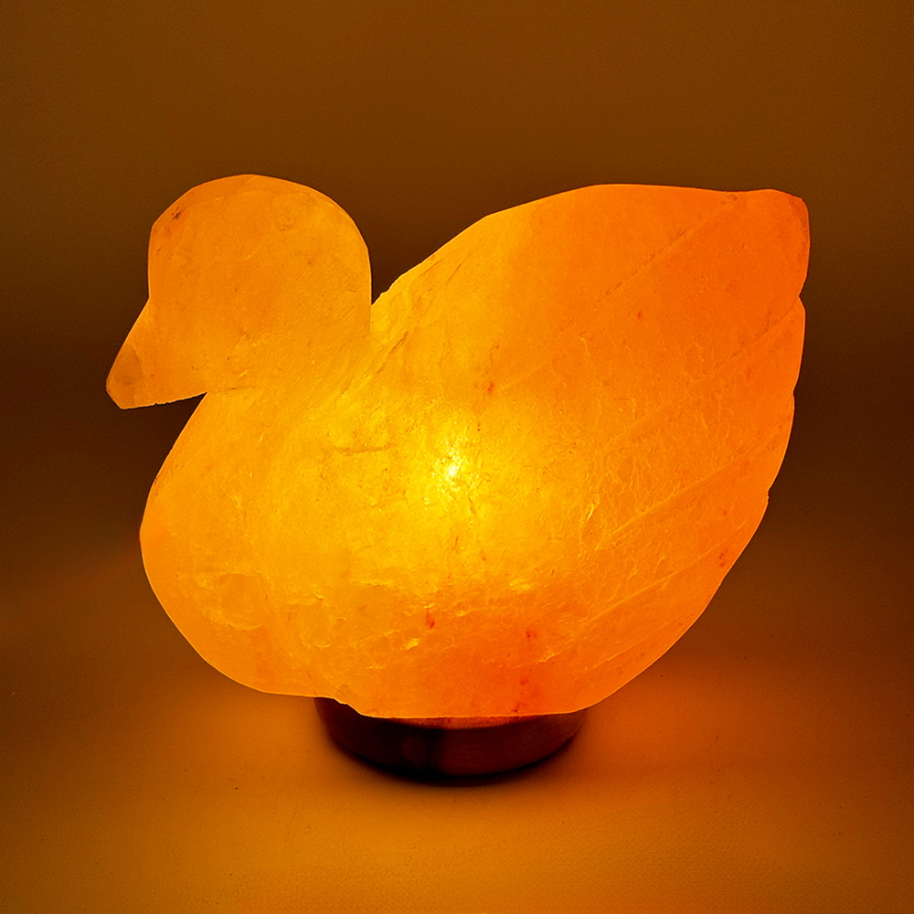Foto principale Lampada di Sale Himalayano Rosa scolpita a forma di Cigno 3 kg con luce calda e base in legno