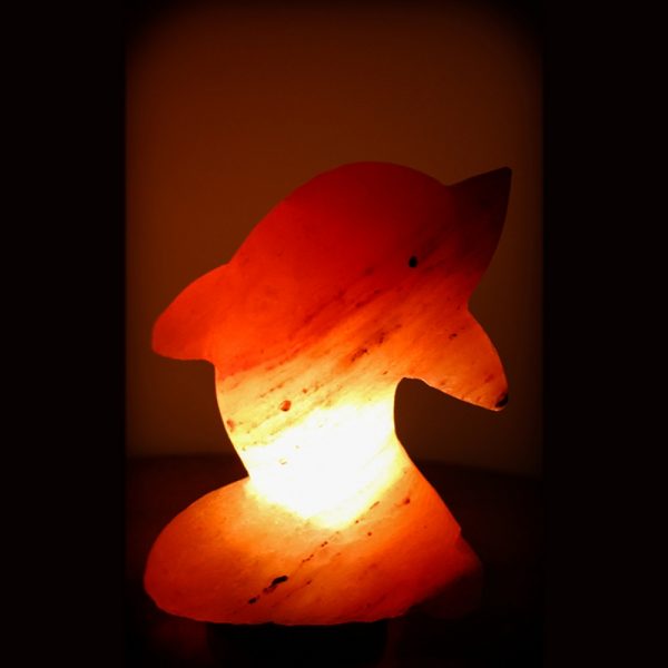 Foto principale Lampada di Sale Himalayano Rosa scolpita a forma di Delfino 3-4 kg con luce calda e base in legno