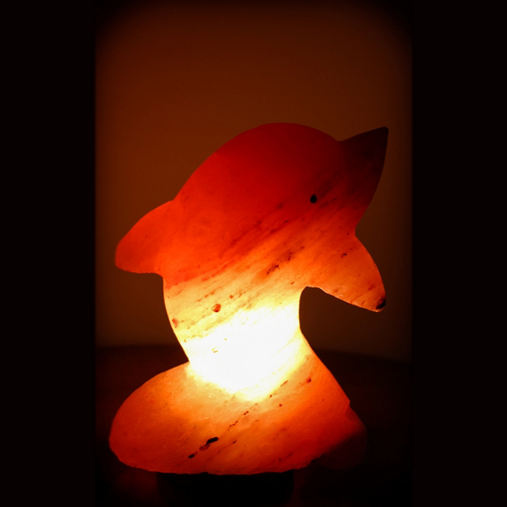 Foto principale Lampada di Sale Himalayano Rosa scolpita a forma di Delfino 3-4 kg con luce calda e base in legno