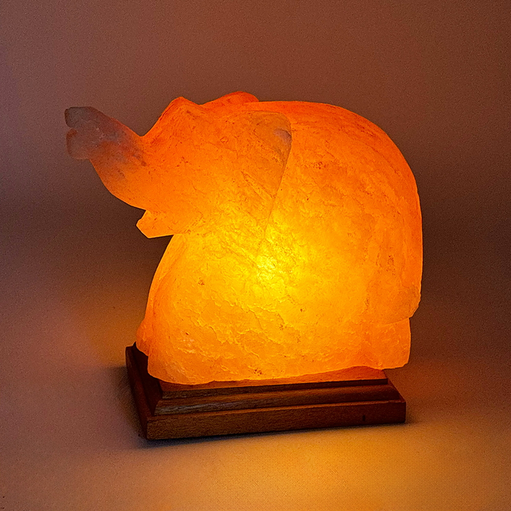 Foto principale Lampada di Sale Himalayano Rosa scolpita a forma di Elefante 3-4 kg con luce calda e base in legno