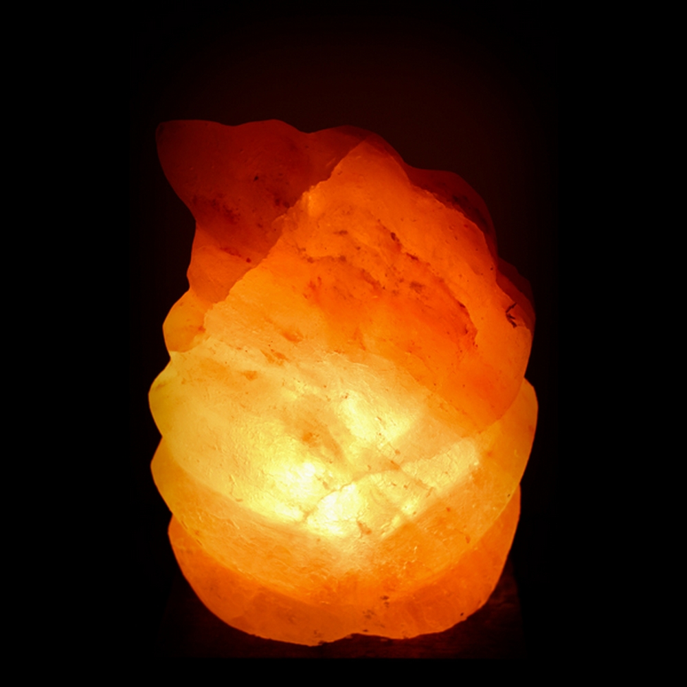 Foto principale Lampada di Sale Himalayano Rosa scolpita a forma di Foglia 3-4 kg con luce calda e base in legno