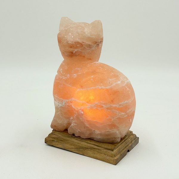 Lampada di Sale Himalayano Rosa scolpita a forma di Gatto 3 kg con luce calda e base in legno - Foto 1