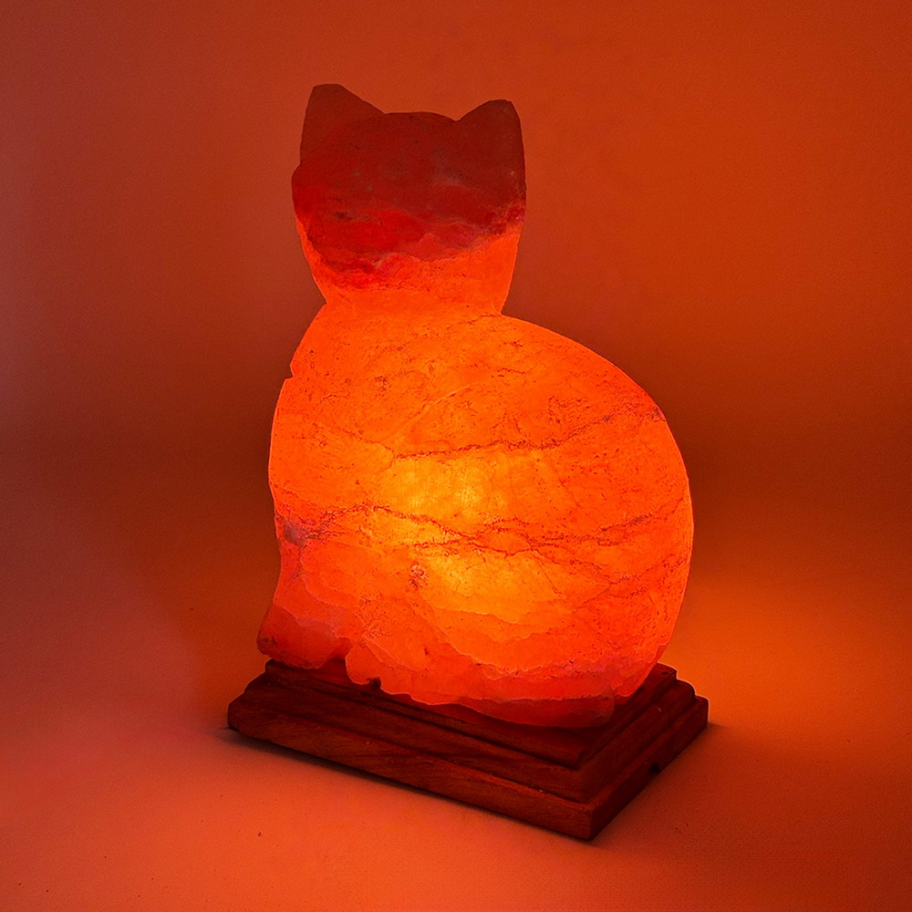 Foto principale Lampada di Sale Himalayano Rosa scolpita a forma di Gatto 3 kg con luce calda e base in legno