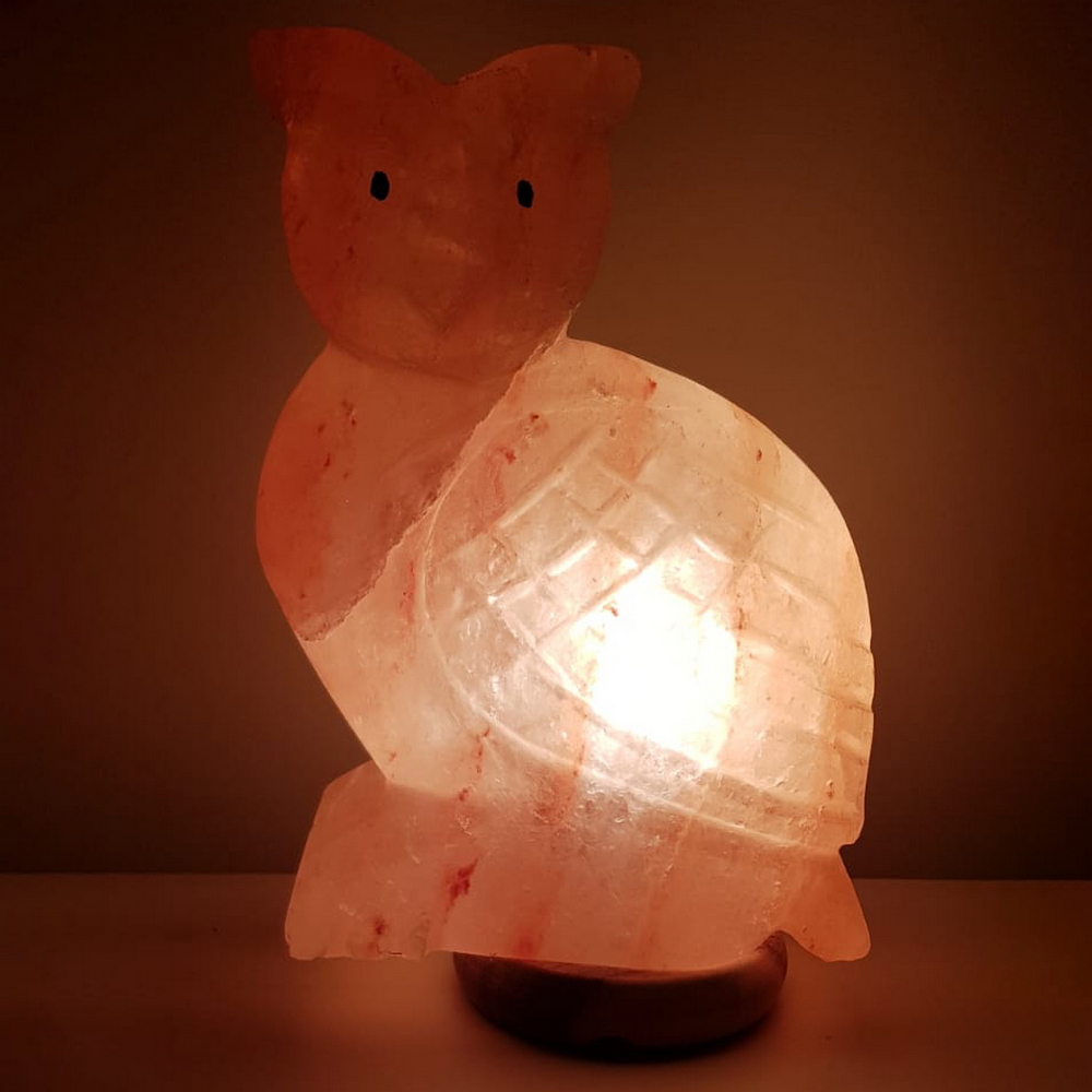 Foto principale Lampada di Sale Himalayano Rosa scolpita a forma di Gufo 3 kg con luce calda e base in legno