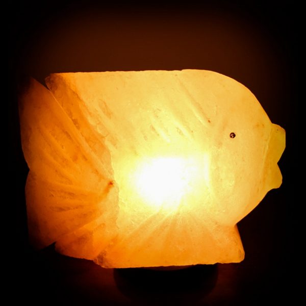 Foto principale Lampada di Sale Himalayano Rosa scolpita a forma di Pesce 3-4 kg con luce calda e base in legno