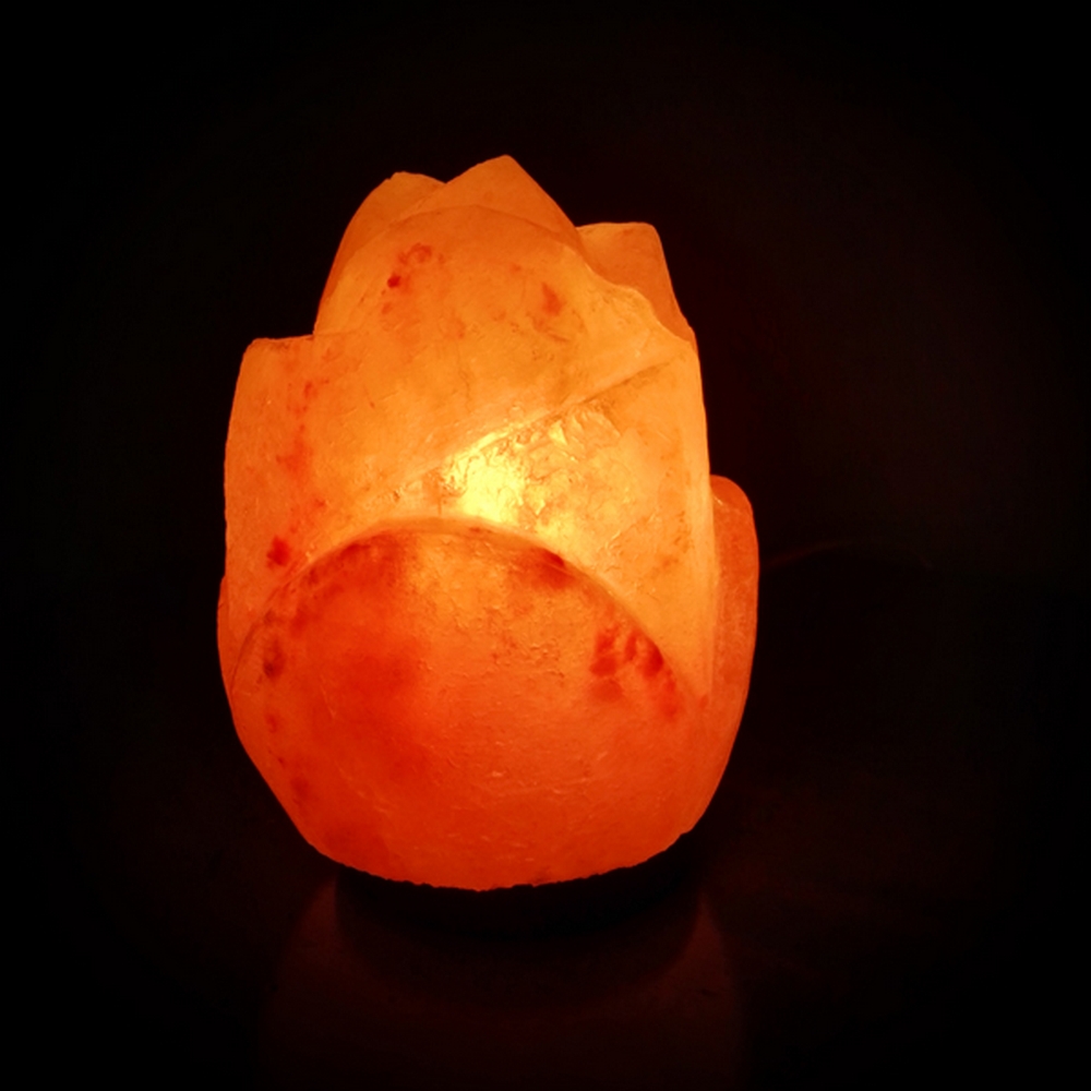 Foto principale Lampada di Sale Himalayano Rosa scolpita a forma di Rosa 3 kg con luce calda e base in legno