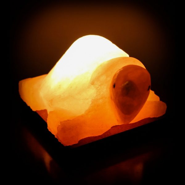 Foto principale Lampada di Sale Himalayano Rosa scolpita a forma di Tartaruga 3-4 kg con luce calda e base in legno