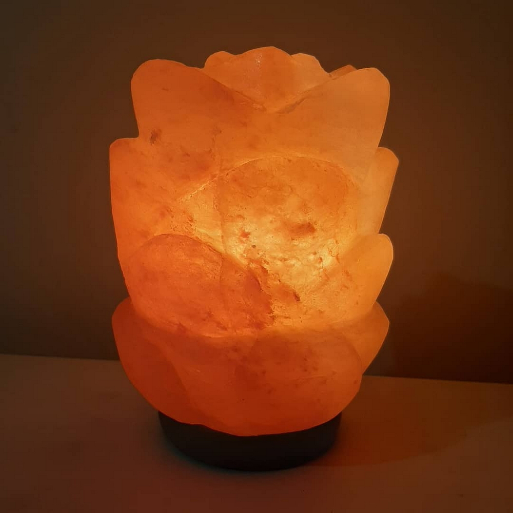 Foto principale Lampada di Sale Himalayano Rosa scolpita a forma di Tulipano 3-4 kg con luce calda e base in legno