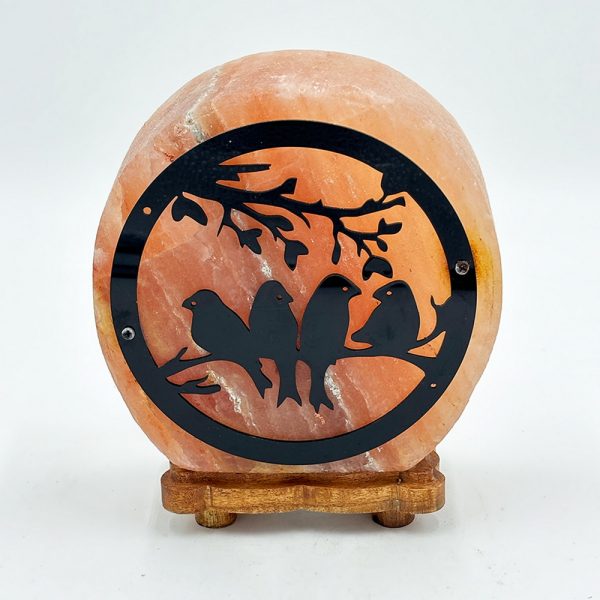 Lampada di Sale Himalayano Rosa scolpita Rotonda Uccellini 5 kg con luce calda e base in legno - Foto 1