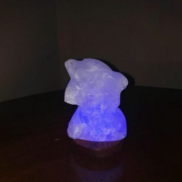 Lampada di Sale Himalayano USB Rosa scolpita a forma di Delfino 750 g con luce Led RGB e base in legno - Foto 1