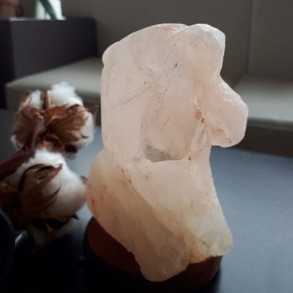 Foto principale Lampada di Sale Himalayano USB Rosa scolpita a forma di Delfino 750 g con luce Led RGB e base in legno