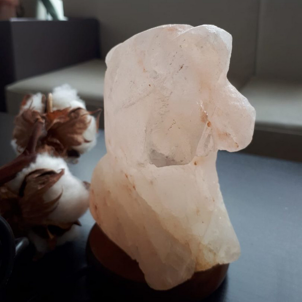 Foto principale Lampada di Sale Himalayano USB Rosa scolpita a forma di Delfino 750 g con luce Led RGB e base in legno