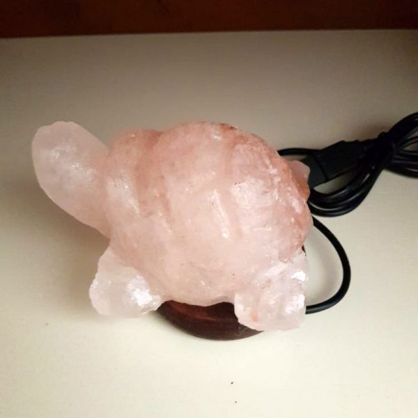 Foto principale Lampada di Sale Himalayano USB Rosa scolpita a forma di Tartaruga 600 g con luce Led RGB e base in legno