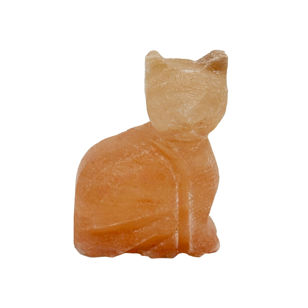 Foto principale Statuetta di Sale Himalayano Rosa naturale scolpita a forma di Gatto 500g