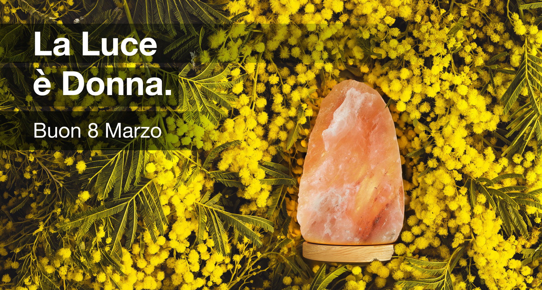 festa-della-donna-2026 Festa della donna 2026