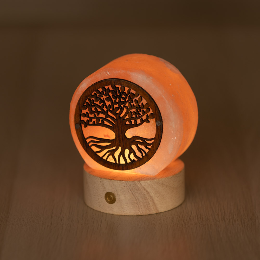 Foto principale Lampada di Sale Himalayano a batteria Rosa scolpita a forma di Albero della vita 600 g con luce Led RGB e base in legno
