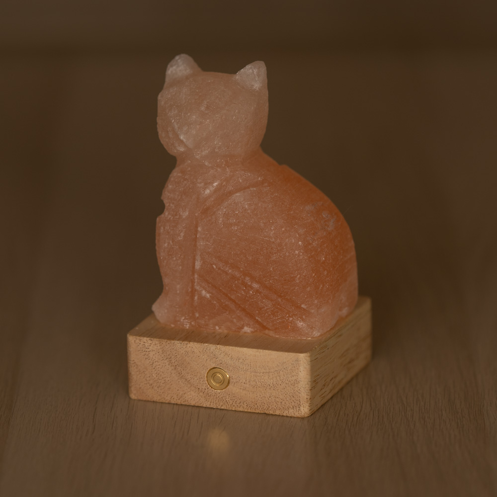 Lampada di Sale Himalayano a batteria Rosa scolpita a forma di Gatto 600 g con luce Led RGB e base in legno - Foto 1