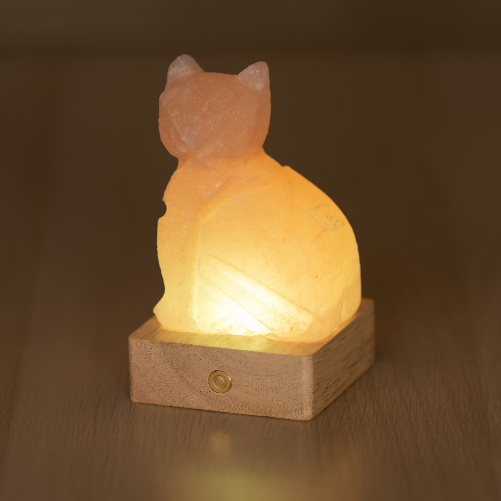 Foto principale Lampada di Sale Himalayano a batteria Rosa scolpita a forma di Gatto 600 g con luce Led RGB e base in legno