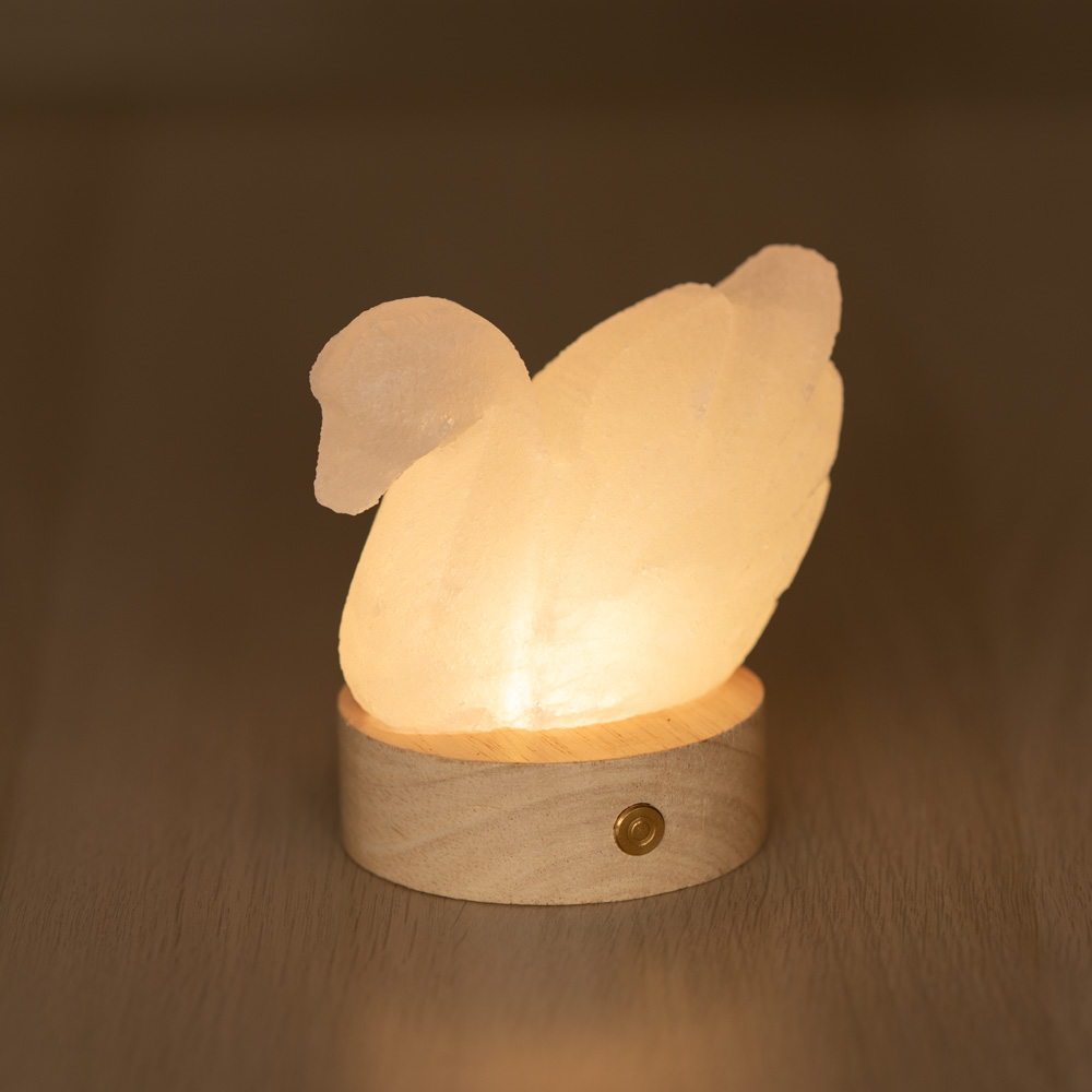 Foto principale Lampada di Sale Himalayano Libera a batteria Bianca scolpita a forma di Cigno 600 g con luce Led RGB e base rotonda
