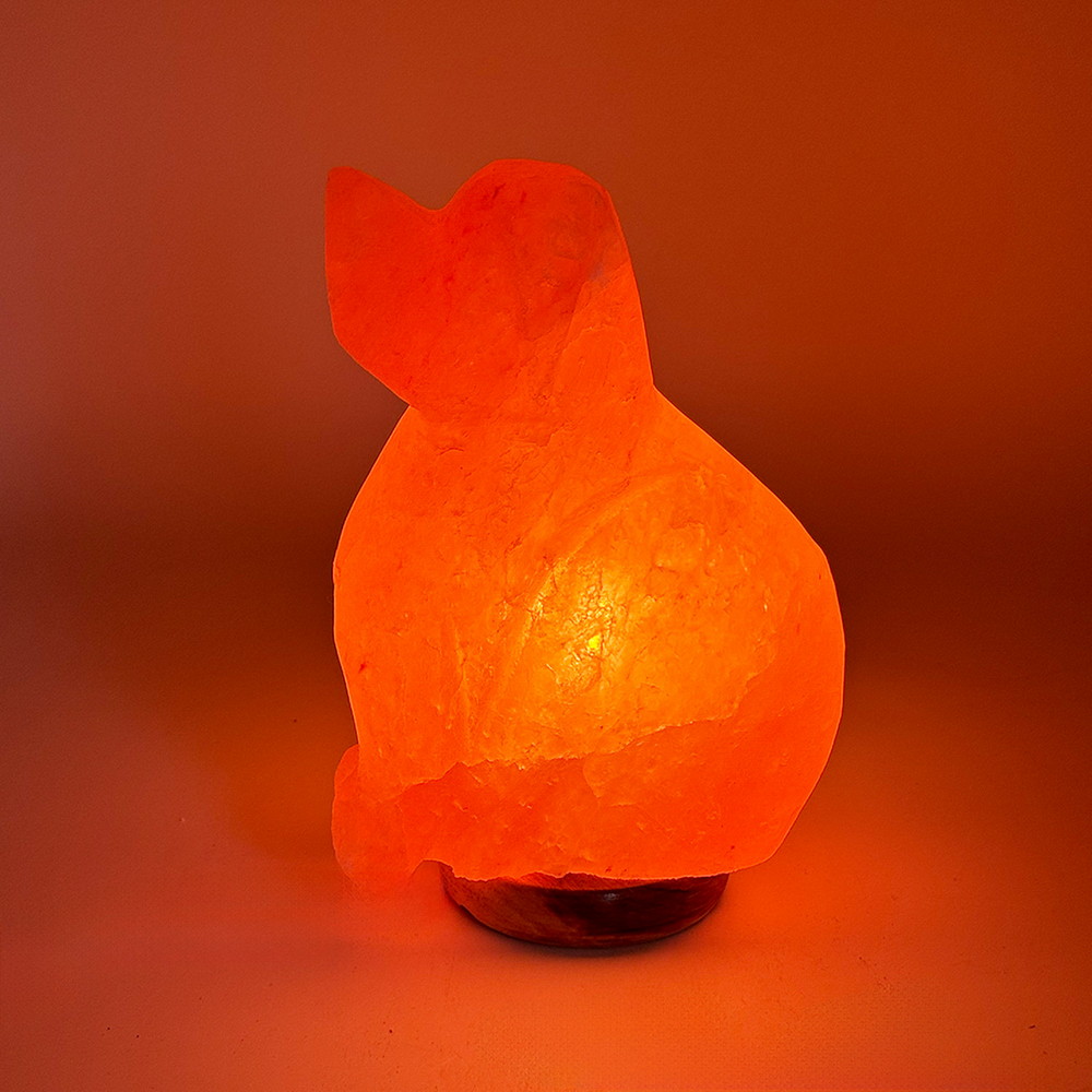 Foto principale Lampada di Sale Himalayano Rosa scolpita a forma di Cane 3-4 kg con luce calda e base in legno